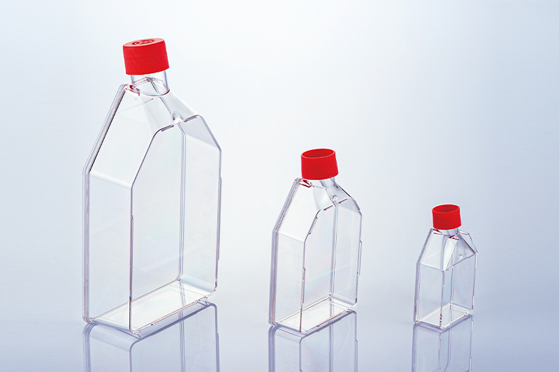 Cell Culture Flasks