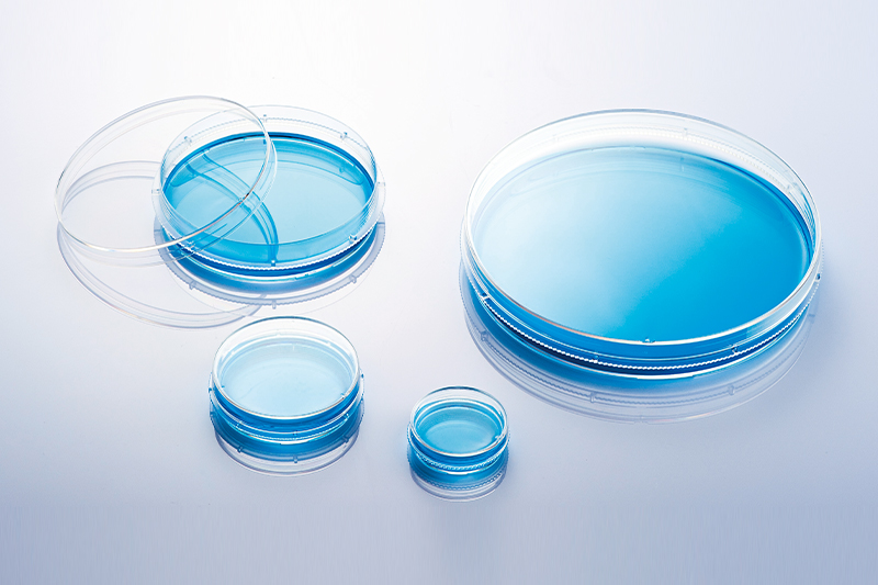 Cell Culture Dishes