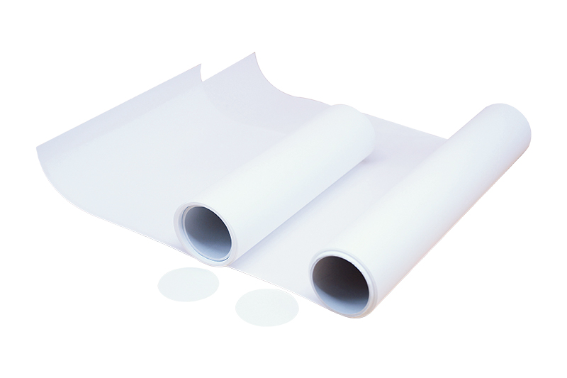 Blotting Membrane